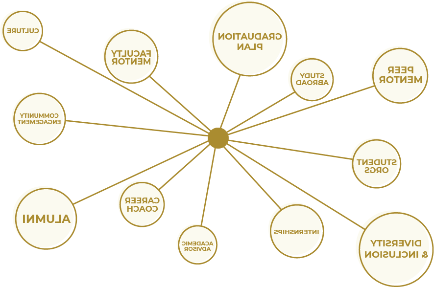 图形显示下列文字:毕业计划, peer mentor, study abroad, student orgs, 多样性和包容性, internships, academic advisor, career coach, alumni, community engagement, culture, faculty mentor