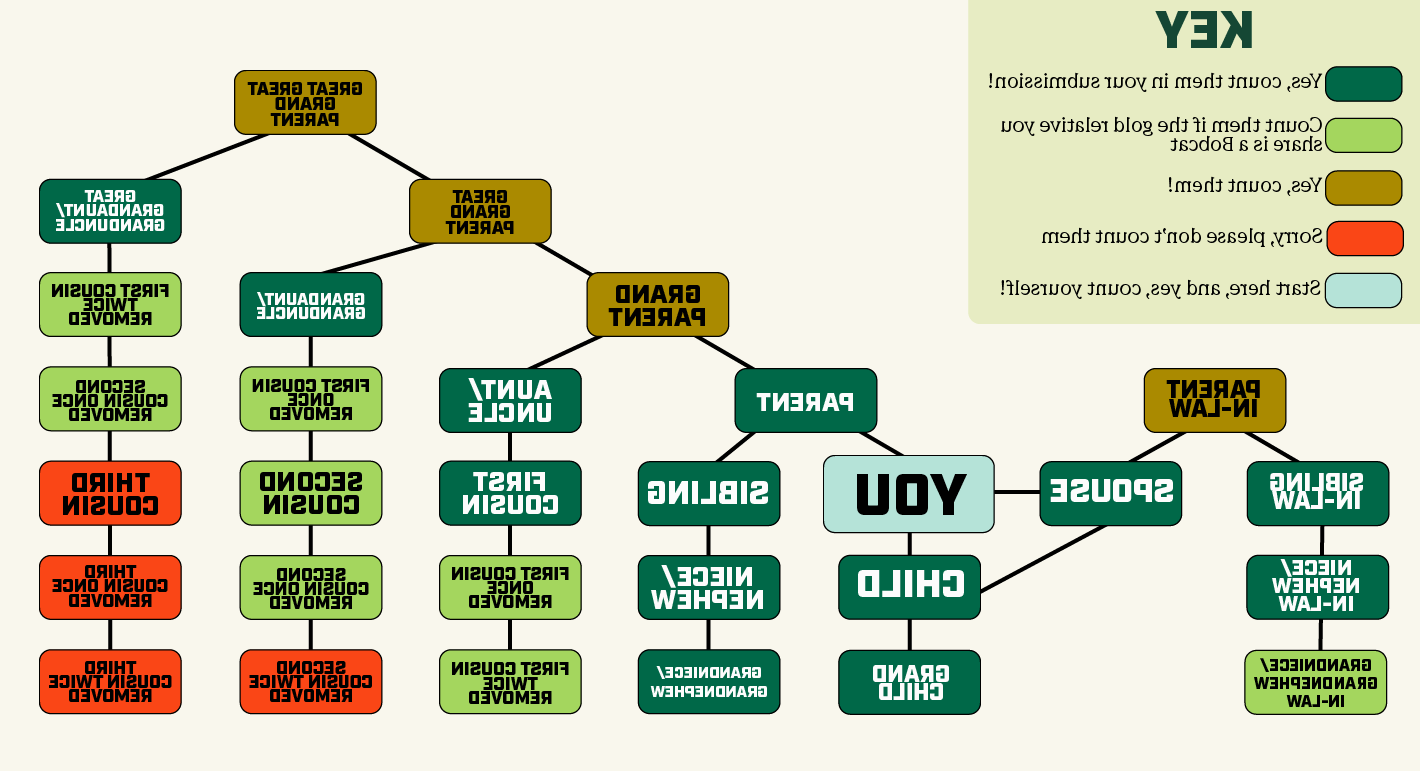 Flow chart showing family tree.