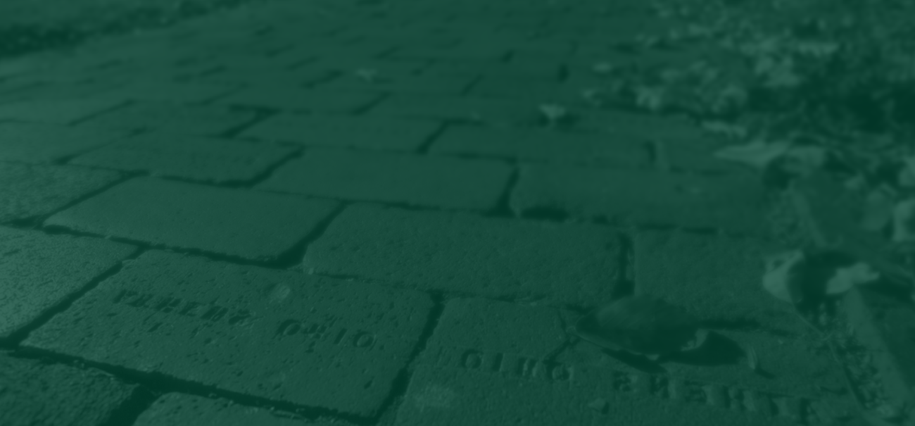 Blurred brick pathway with a leaves and a green overlay