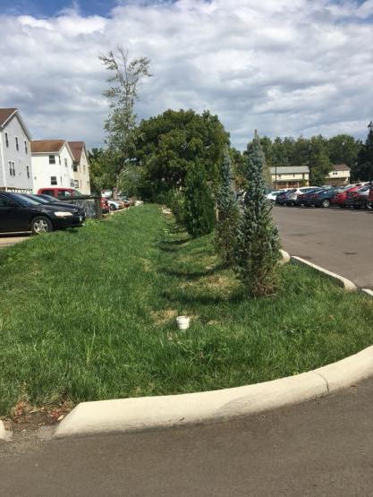 Patton Hall bioswale