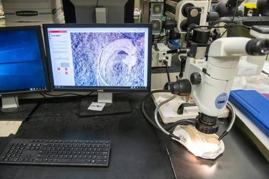 Microscope and computer displaying a scan in an Ohio University research laboratory